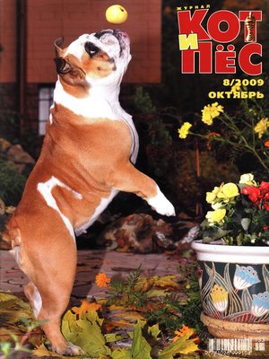 cover image of Кот и Пёс №8/2009